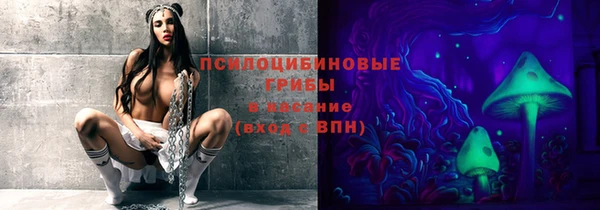 гидропоника Инсар