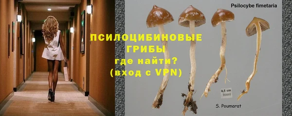 спайс Иннополис