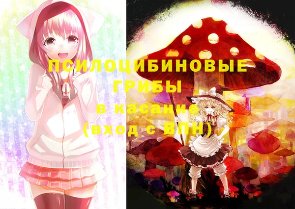 гидропоника Инсар